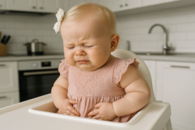 Küçük Bağırsakların Büyük Dostları: Lifli Gıdalar ve Probiyotikler